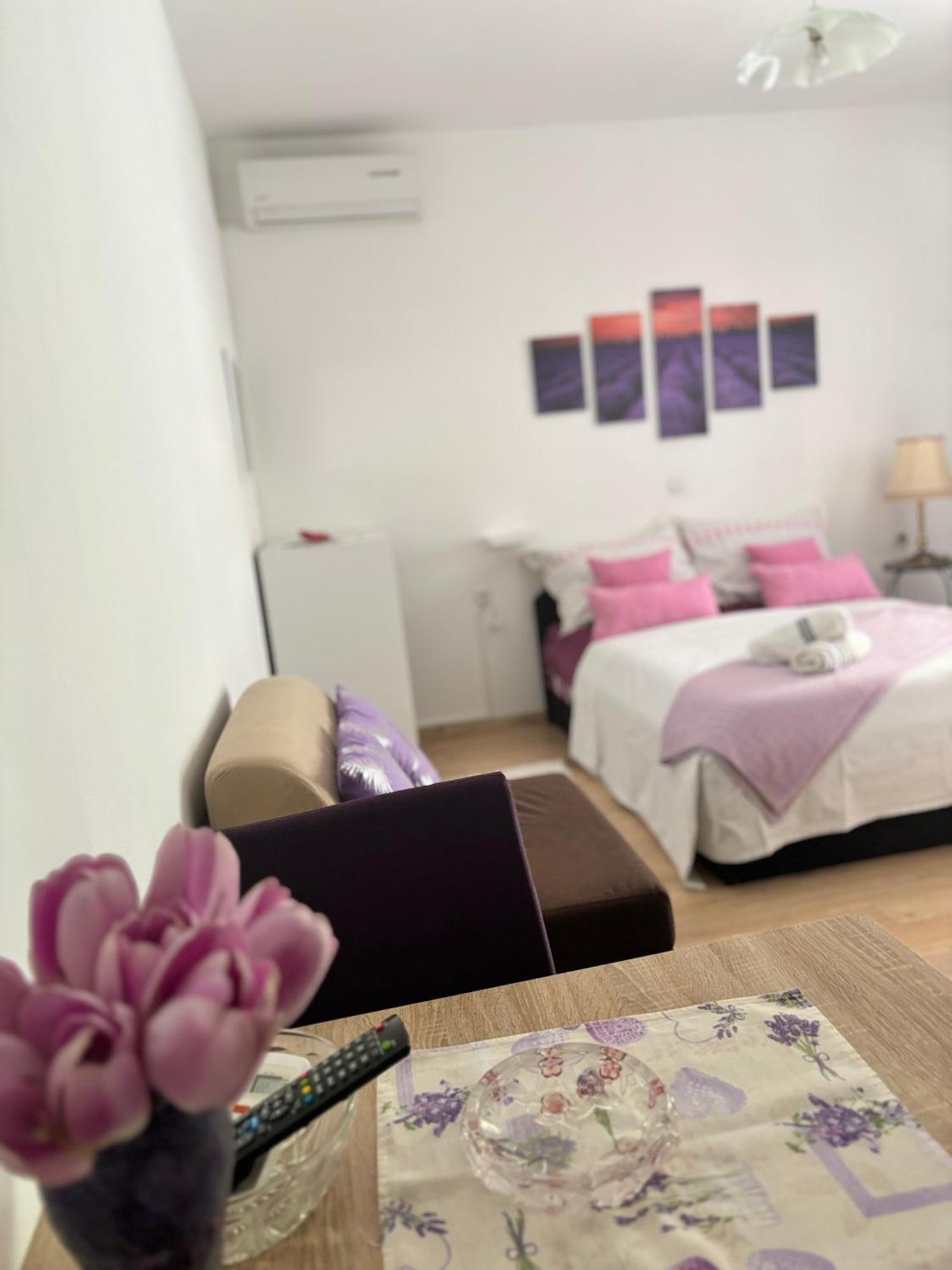 Apartments Ivana ビビニェ エクステリア 写真