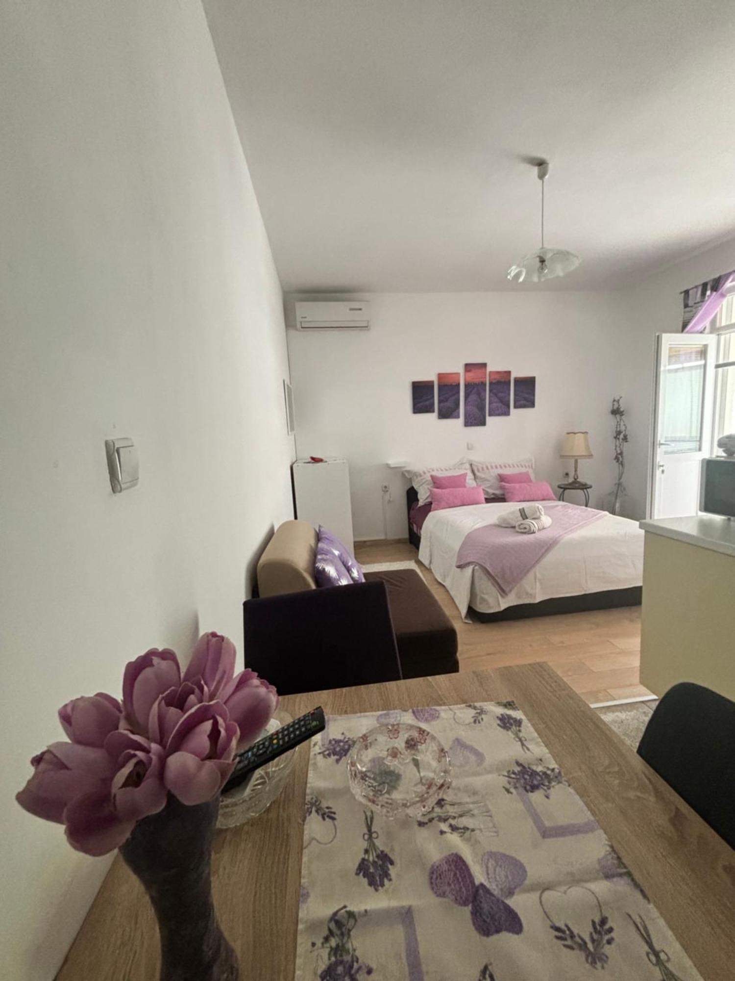 Apartments Ivana ビビニェ エクステリア 写真