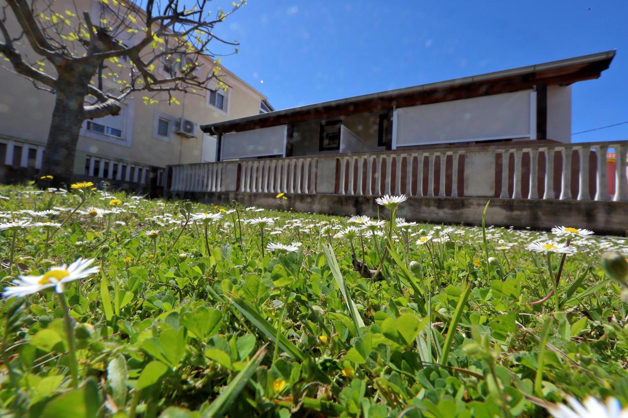 Apartments Ivana ビビニェ エクステリア 写真