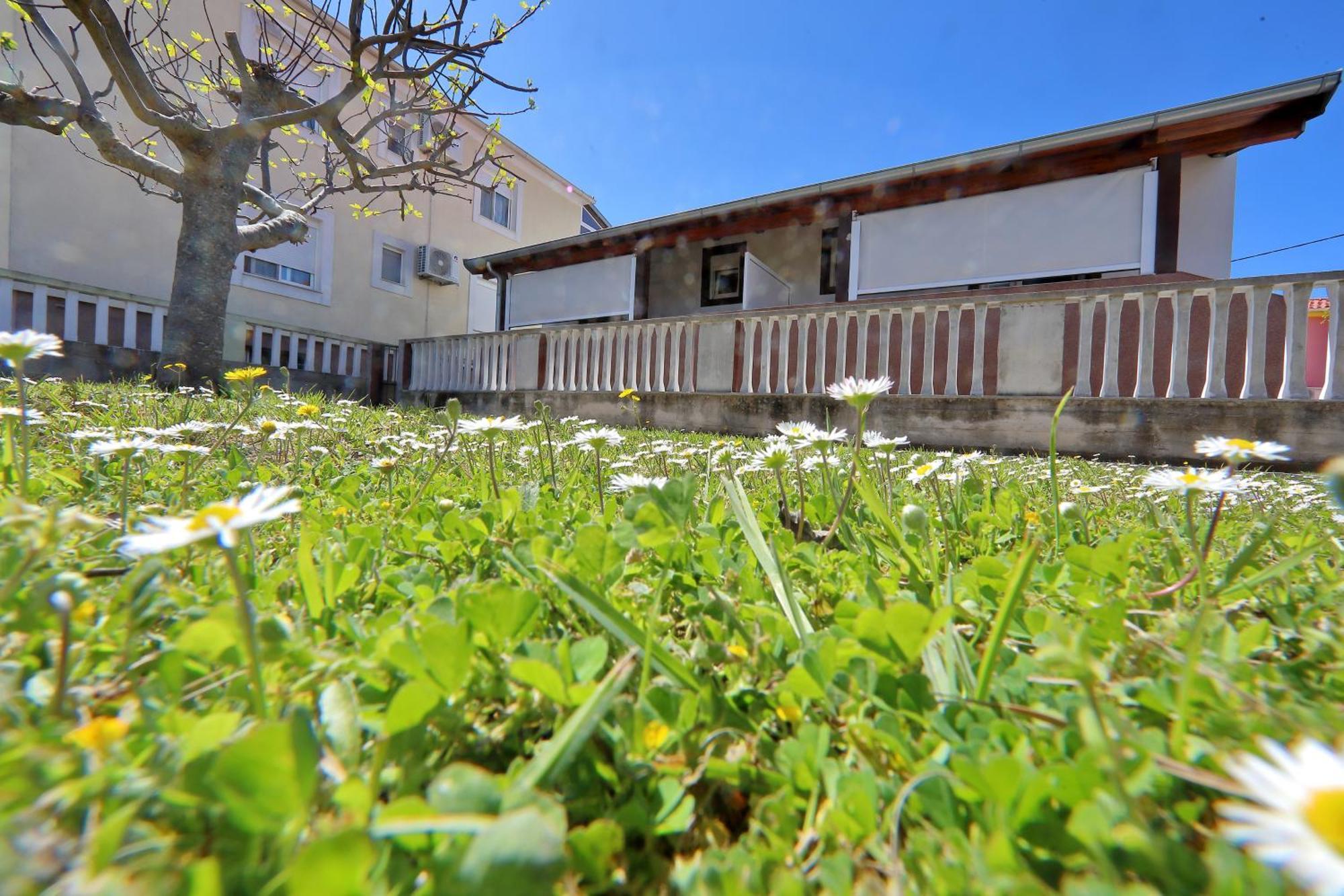 Apartments Ivana ビビニェ エクステリア 写真